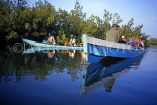 GAMBIA, River Gambia, tourists in dug out canoes (pirogues) on bird watching tour, GAM930JPL