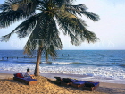 GAMBIA, beach scene with sunbeds and coconut tree, GAM818JPL