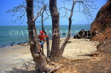 GAMBIA, coast and beach, boy (tourist) on Baobab tree, GAM991JPL