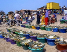 GAMBIA, fishing village, tubs full of Yellow Tailed Mullet, GAM852JPL