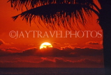 GRENADA, Grand Anse, sunset and coconut tree, GRE474JPL