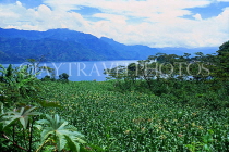 GUATEMALA, Lake Atitlan and corn fields, GUA278JPL
