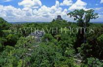 GUATEMALA, Tikal, Temple 4, in Mundo Perdido (lost world) area, GUA309JPL