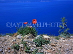 Greek Islands, KEPHALONIA, coastal view and Poppies, GIS514JPL