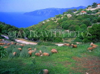 Greek Islands, KEPHALONIA, hill top village of Neochori, and sheep grazing, GIS490JPL