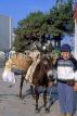 Greek Islands, MYKONOS, farmer with donkey carrying vegetables, GIS560JPL