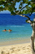 Grenadines, PALM ISLAND, beach with seagrape tree and couple swimming, GR14JPL