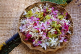 Hawaiian Islands, OAHU, Spray Orchids for Lei making, HAW230JPL