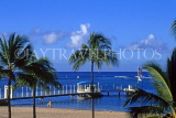 Hawaiian Islands, OAHU, Waikiki Beach, coconut trees and pier, HAW313JPL