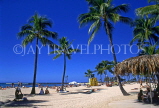 Hawaiian Islands, OAHU, Waikiki Beach and coconut trees, HAW112JPL