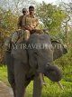 INDIA, Assam, Kaziranga National Park, rangers riding elephant, IND1444JPL