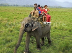 INDIA, Assam, Kaziranga National Park, tourists on an elephant safari, IND1446JPL