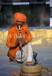 INDIA, Rajasthan, JAIPUR, snake charmer and Cobra, IND1180JPL