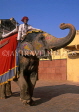 INDIA, Rajasthan, Jaipur, AMBER PALACE and Fort, elephant and mahout, IND135JPL
