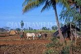 INDIA, South India, Kerala, ox ploughing fields, IND544JPL