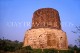 INDIA, Uttar Pradesh, SARNATH, Dhamek Stupa, IND998JPL