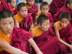 INDIA, West Bengal, Darjeeling, group of young Tibetan monks, IND1412JPL