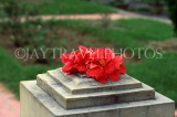India, DELHI, Hibiscus flowers on Gandhi Memorial, IND581JPL
