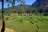 India, GOA, terraced rice (paddy) fields, IND756JPL