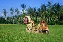 Indonesia, BALI, Classical Barong dancer, in rice field, BAL1294JPL