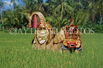 Indonesia, BALI, Classical Barong dancer, in rice field, BAL1322JPL
