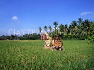 Indonesia, BALI, Classical Barong dancer, in rice field, BAL501JPL
