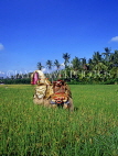 Indonesia, BALI, Classical Barong dancer, in rice field, BAL503JPL