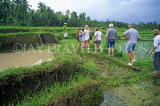 Indonesia, BALI, Ubud, tourists in rice fields, on nature trail of plants and herbs, BAL1069JPL