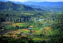 Indonesia, SUMATRA, countryside and terraced rice fields, near Bukittinggi, IND129JPL