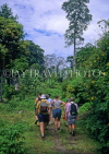 Indonesia, SUMATRA, tourists on rain forest hike, IND127JPL