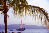 JAMAICA, Montego Bay, cruise boat, view through coconut tree, JM188JPL