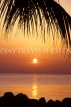 JAMAICA, Montego Bay, sunset and coconute tree branch, JM179JPL