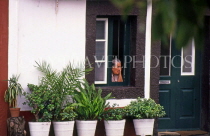 MADEIRA, Funchal, Old Town, woman at window, MAD118JPL