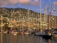 MADEIRA, Funchal, evening light over town and marina, MAD153JPL