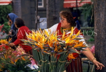 MADEIRA, Funchal, flower stall, with Bird of Paradise flowers, MAD165JPL