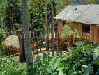 MALAYSIA, Cameron Highlands, Rainforest, Orang Asli (native) village houses, MSA621JPL