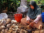 MALAYSIA, coconut plantation, worker husking coconuts, MSA637JPL