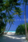 MALDIVE ISLANDS, Biyadhoo Island, sea view through coconut trees, MAL93JPL