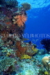 MALDIVE ISLANDS, Coral reef, MAL606JPL