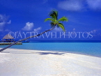 MALDIVE ISLANDS, Velassaru Island, beach and leaning coconut tree, MAL639JPL