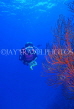 MALDIVE ISLANDS, scuba diver and Seanfan coral, MAL609JPL
