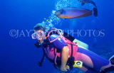 MALDIVE ISLANDS, scuba diver and coral reef fish, MAL116JPL