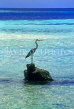 MALDIVE ISLANDS, seascape and Heron, MAL661JPL