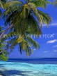 MALDIVE ISLANDS, seascape and leaning coconut trees, MAL683LPL