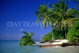 MALDIVE ISLANDS, seascape with fallen coconut tree, MAL656JPL