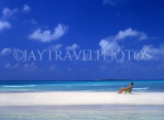 MALDIVE ISLANDS, seascape with sunbather on strip of sand, MAL618JPL