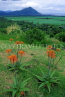 MAURITIUS, Casela Nature Park, countryside and Aluvera flowers, MRU263JPL