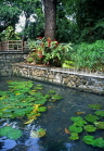MAURITIUS, Casela Nature Park, landscaped gardens and lily pond, MRU260JPL