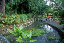 MAURITIUS, Casela Nature Park, landscaped gardens and pond, MRU259JPL