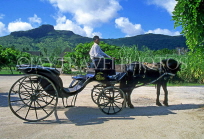 MAURITIUS, Domian Les Pailles, horse drawn carriage (for visitors), MRU324JPL